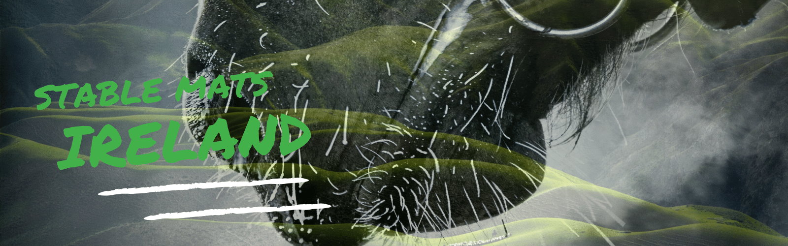 Rubber Horse Stable Mats Ireland