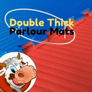 Double thick Parlour Mats 40mm