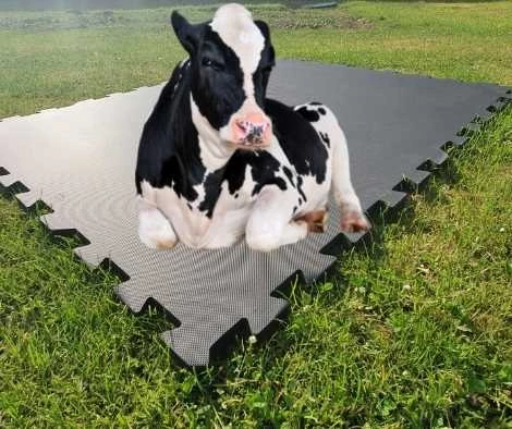 Cow Mats - Horse Stall Mats